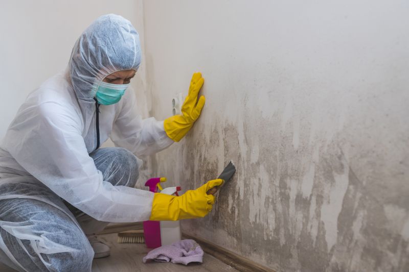 Molding Repair Cost Guide — Cost of molding repair