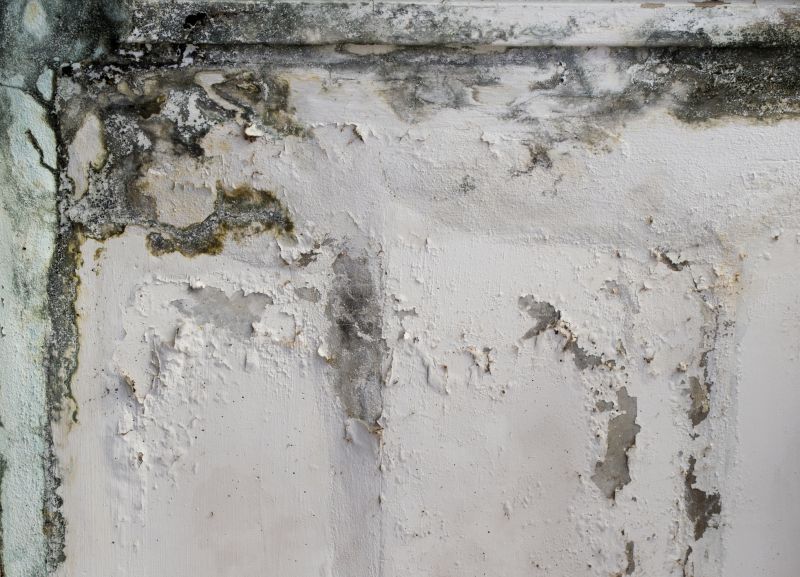 Molding Repair Cost Guide — Cost of molding repair