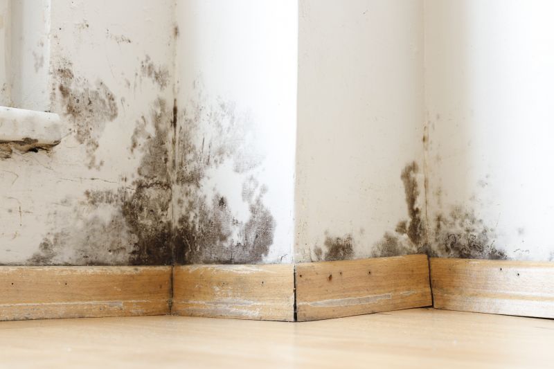 Molding Repair Cost Guide — Cost of molding repair