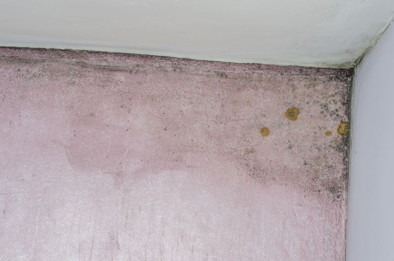 Molding Repair Cost Guide — Cost of molding repair