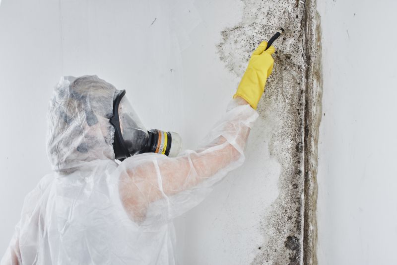 Professional Mold Repair Contractors