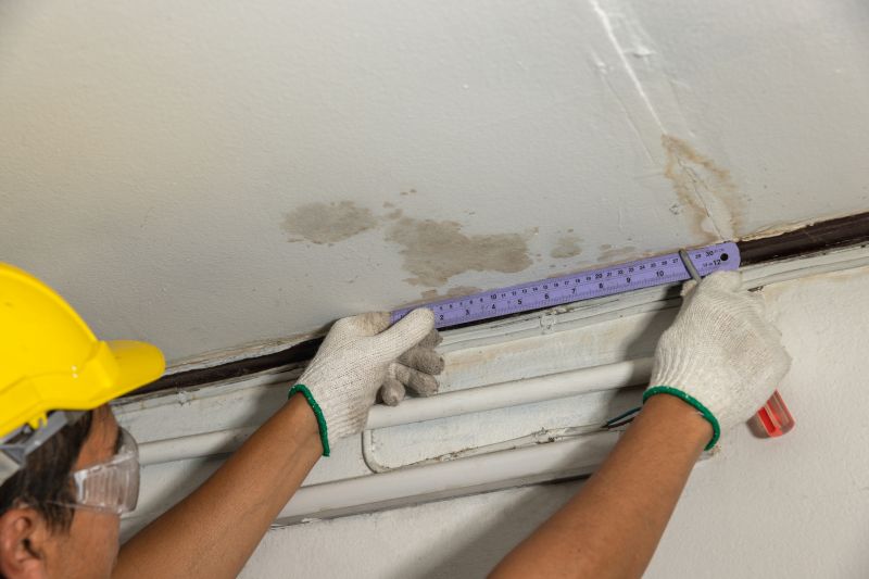 Carpenters with Mold Repair Skills